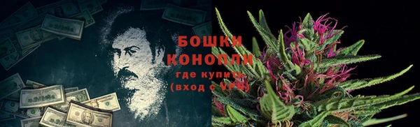 прущие грибы Арсеньев