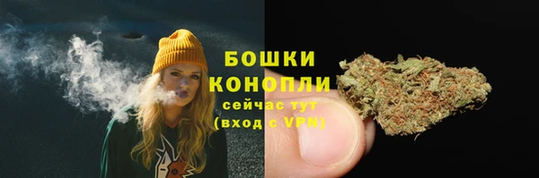 прущие грибы Арсеньев