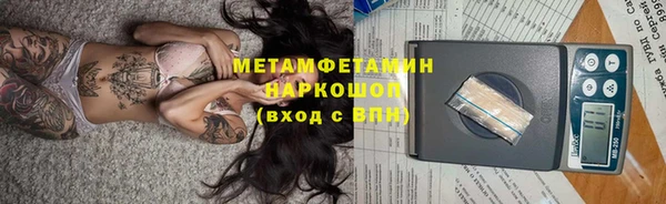 прущие грибы Арсеньев
